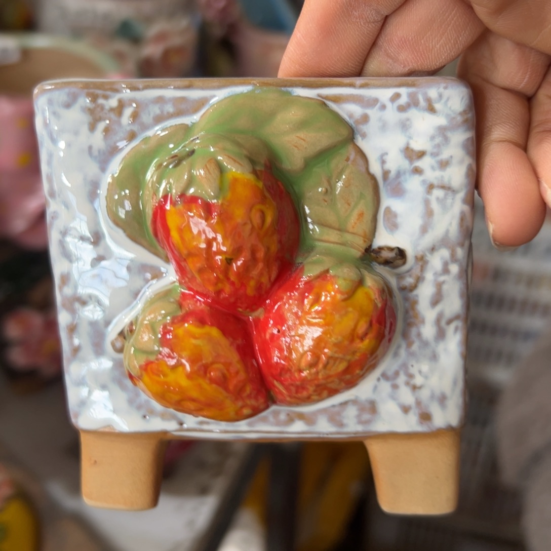花盆，拍满20发货，退款拉黑
