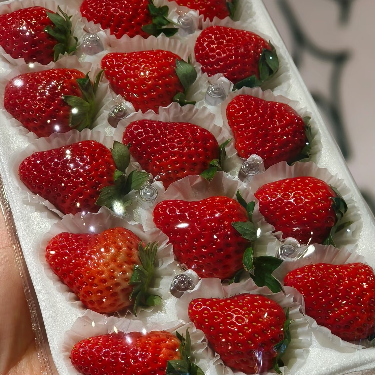 头茬丹东九九草莓一盒辽宁省