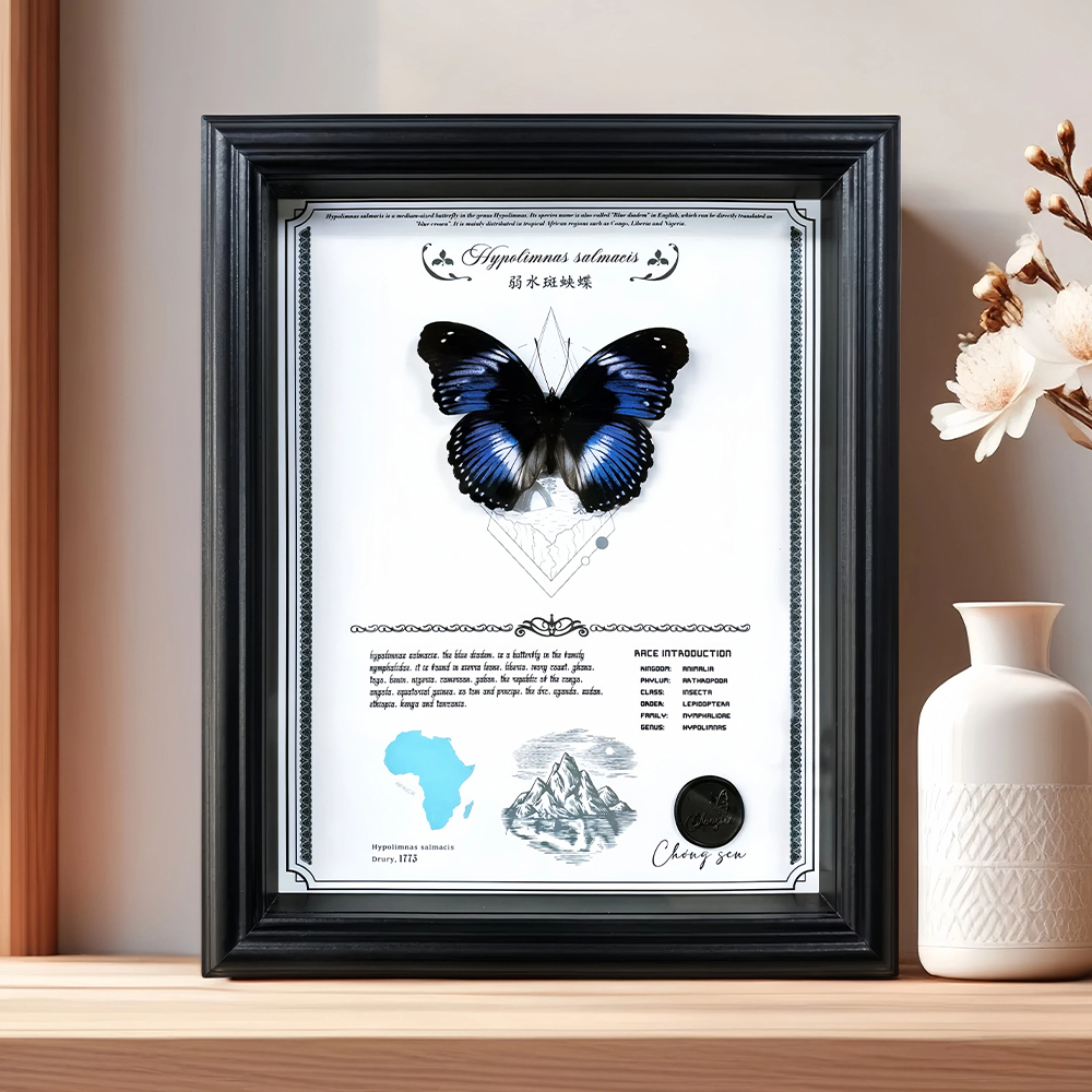 【弱水斑蛱蝶】蝴蝶标本装饰画高山斑蛱蝶艺术版相框摆件礼物送女友