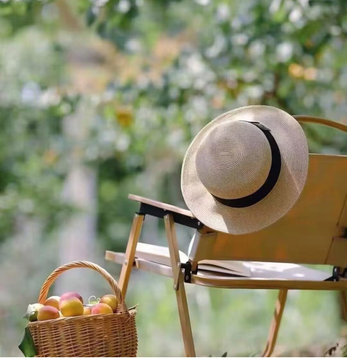 女生夏季秋季礼帽草帽平顶帽子明星同款