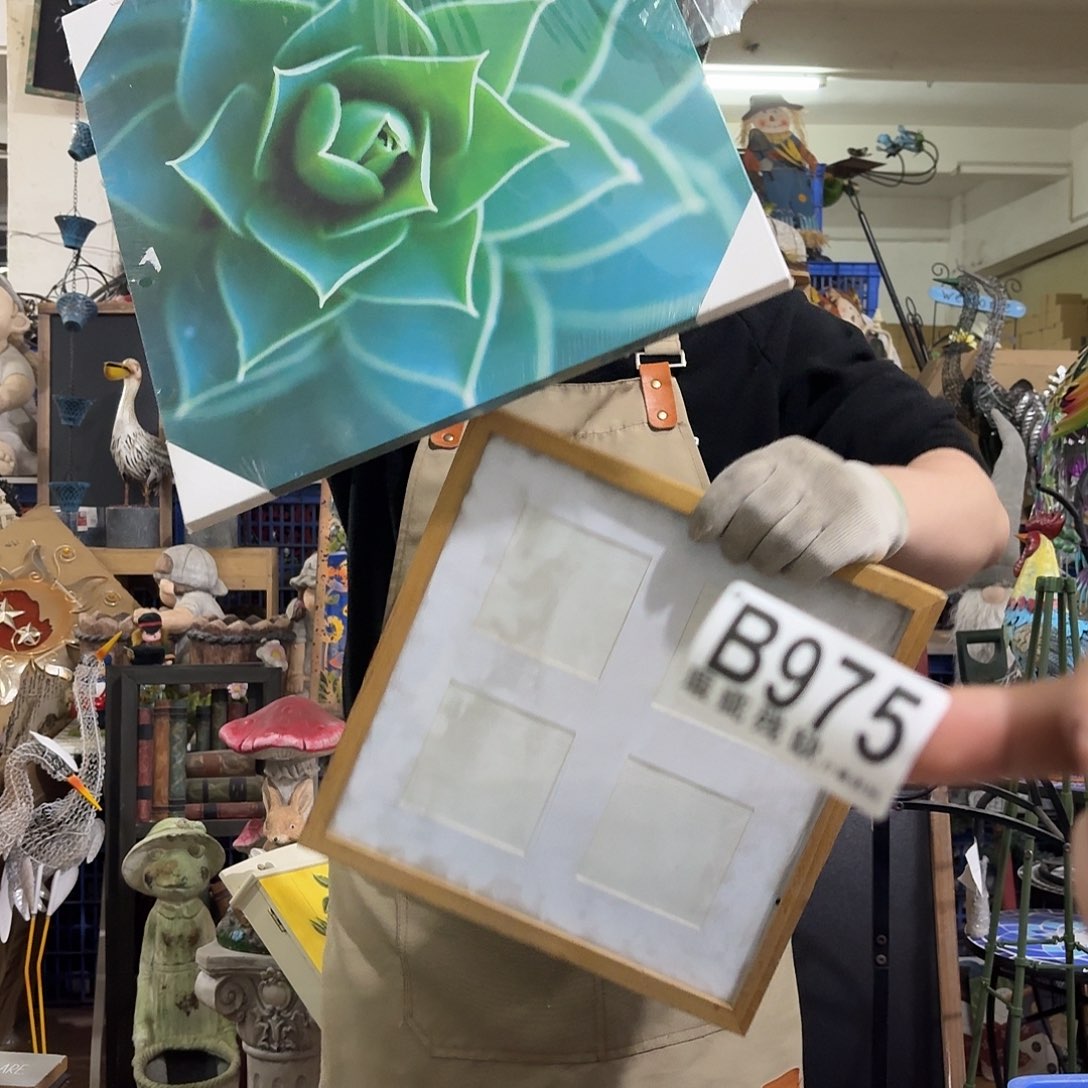 核桃木/黑胡桃（胡桃木）