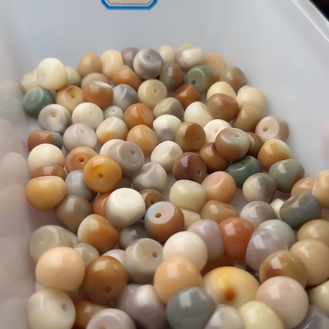 吊坠菩提根/象牙果50 颗温婉美人 14 蒜瓣