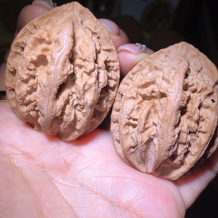 文玩核桃把件东北野生楸子小美31