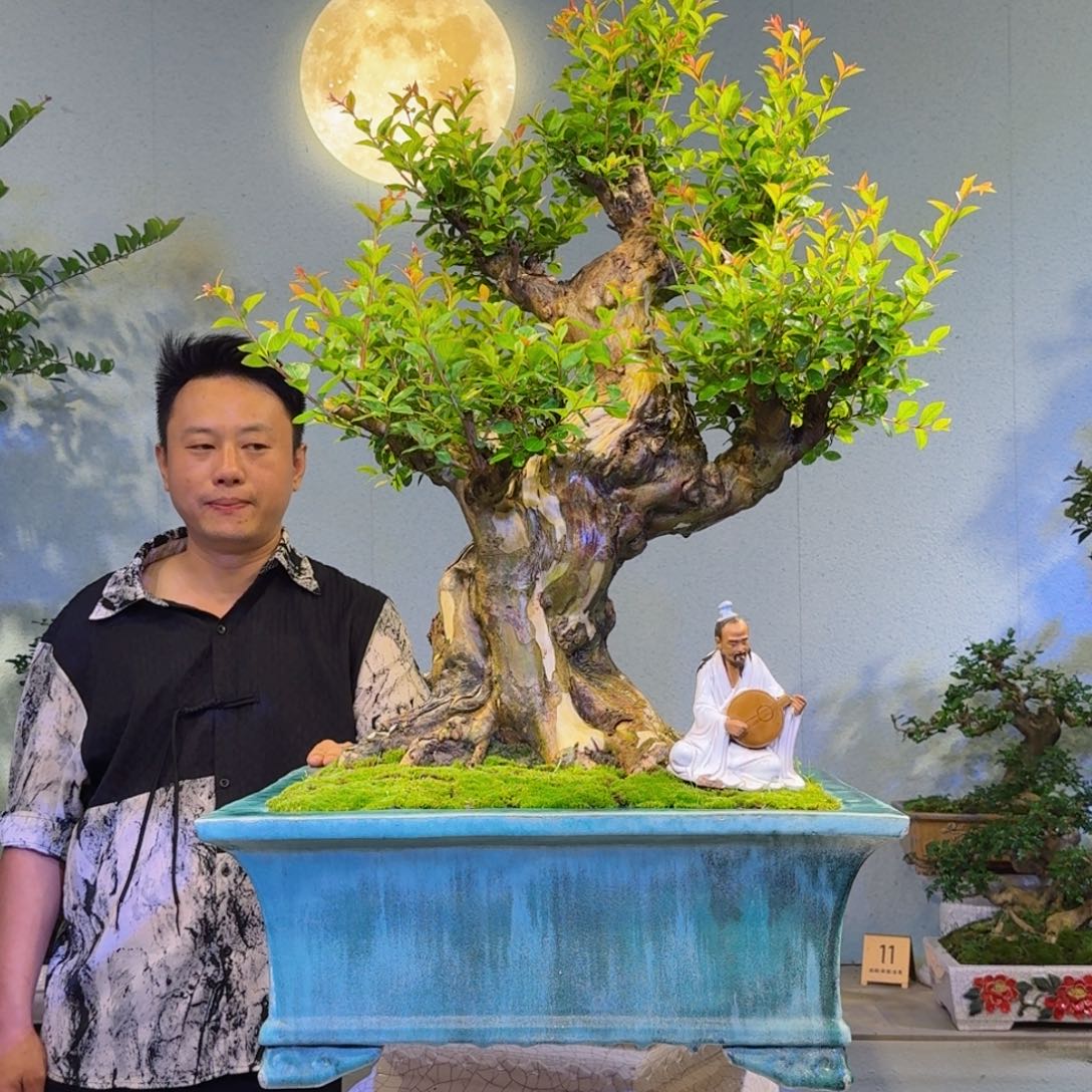 无花朵用****6原生红花紫薇