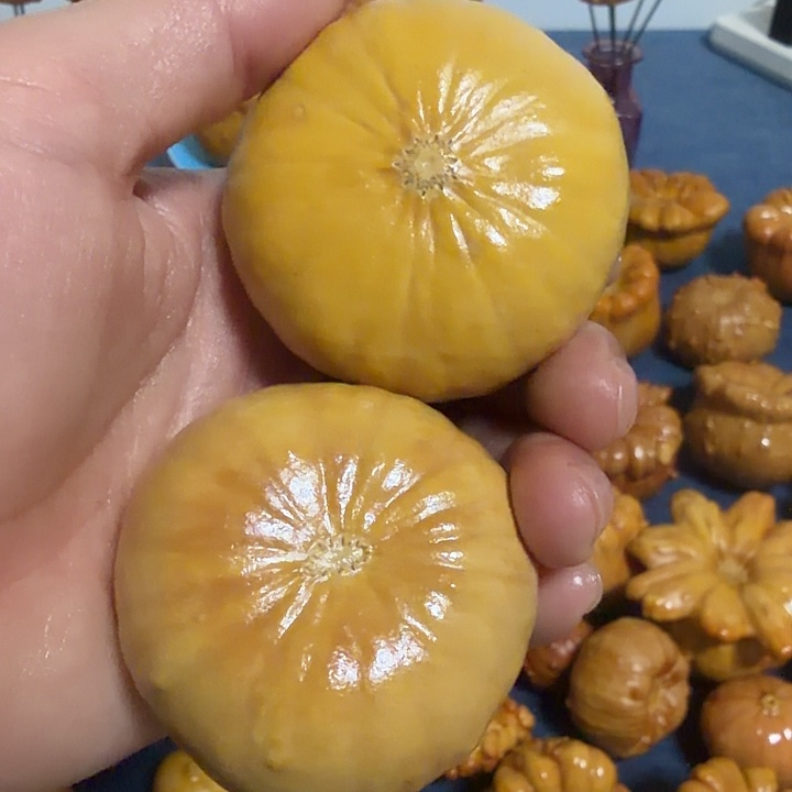 凉***茶墨西哥七彩疙瘩葫芦特价不退货