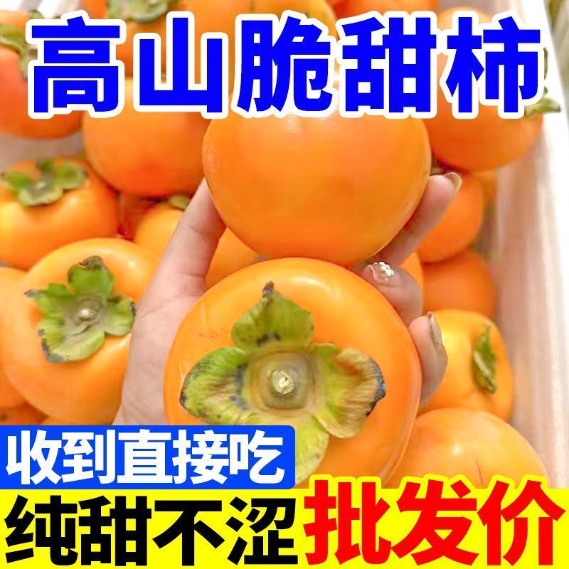 【超脆甜】脆柿子新鲜应季水果甜柿子硬黄柿子整箱批发