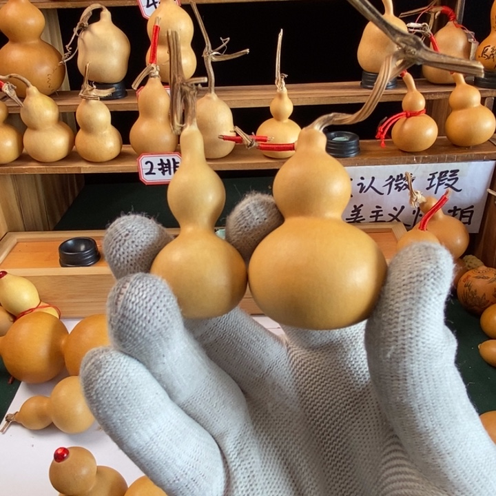 葫芦娃兄弟姐妹情