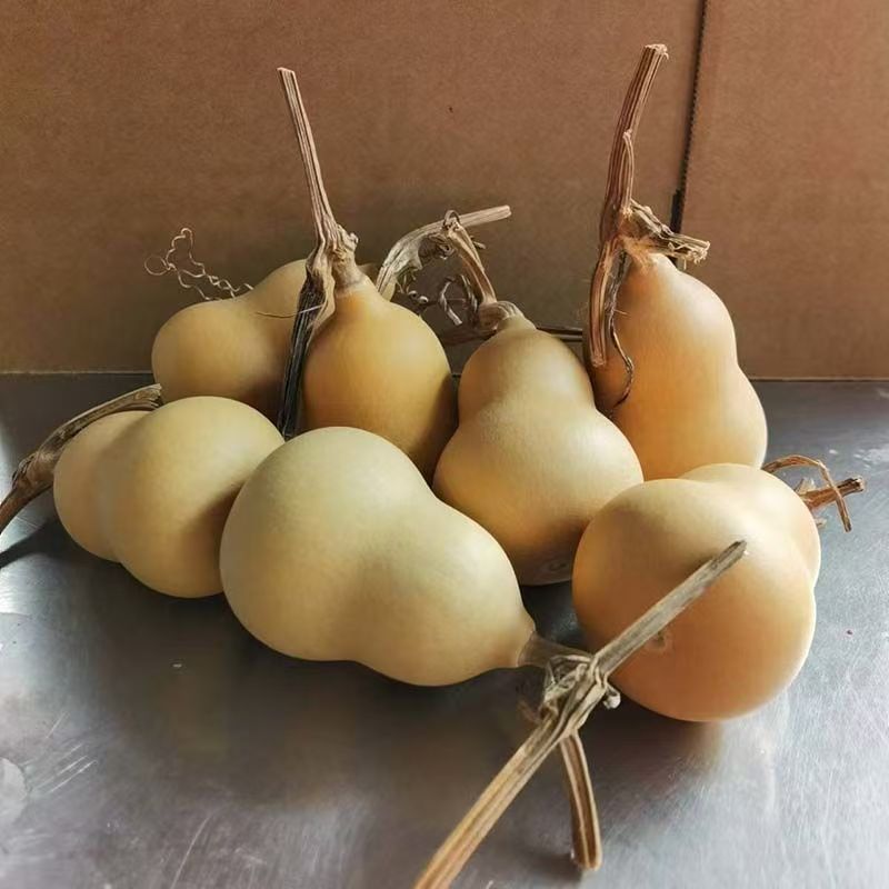 2天然胖墩葫芦文玩素葫芦手把件手捻葫芦批发