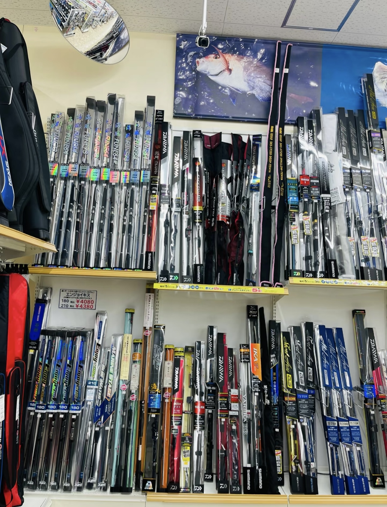 1.5号矶钓竿超轻高碳矶竿