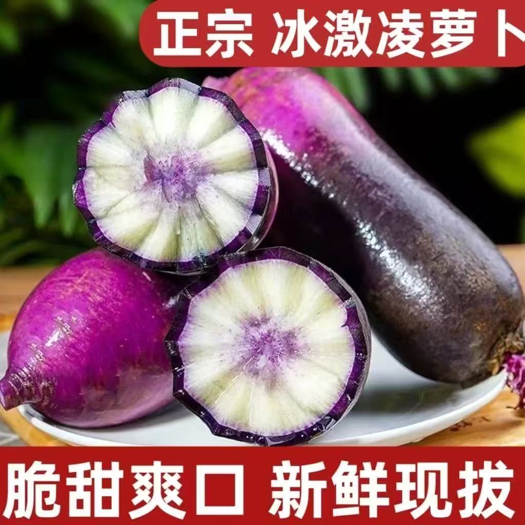 顺丰包邮正宗寿光当季冰激淋水果萝卜新鲜现摘水果萝卜不辣萝卜