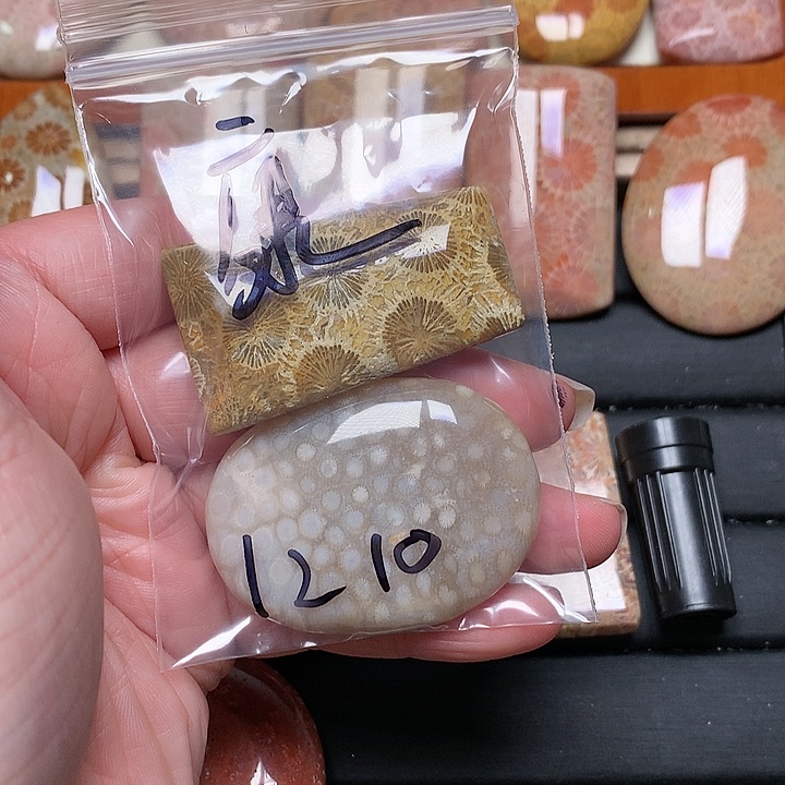 康***缘硅化玉未镶嵌珠宝奇石