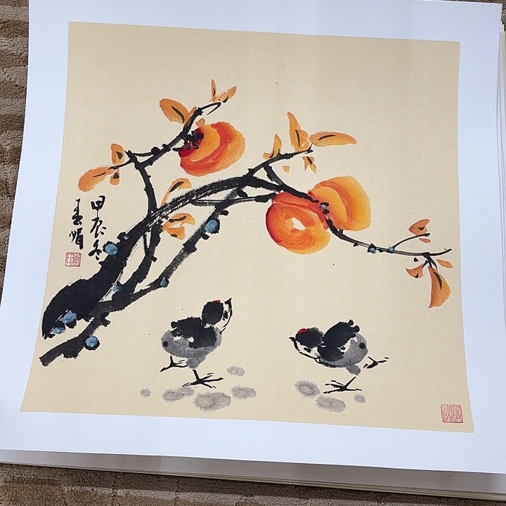 国画花鸟等多种鸟类和50.50