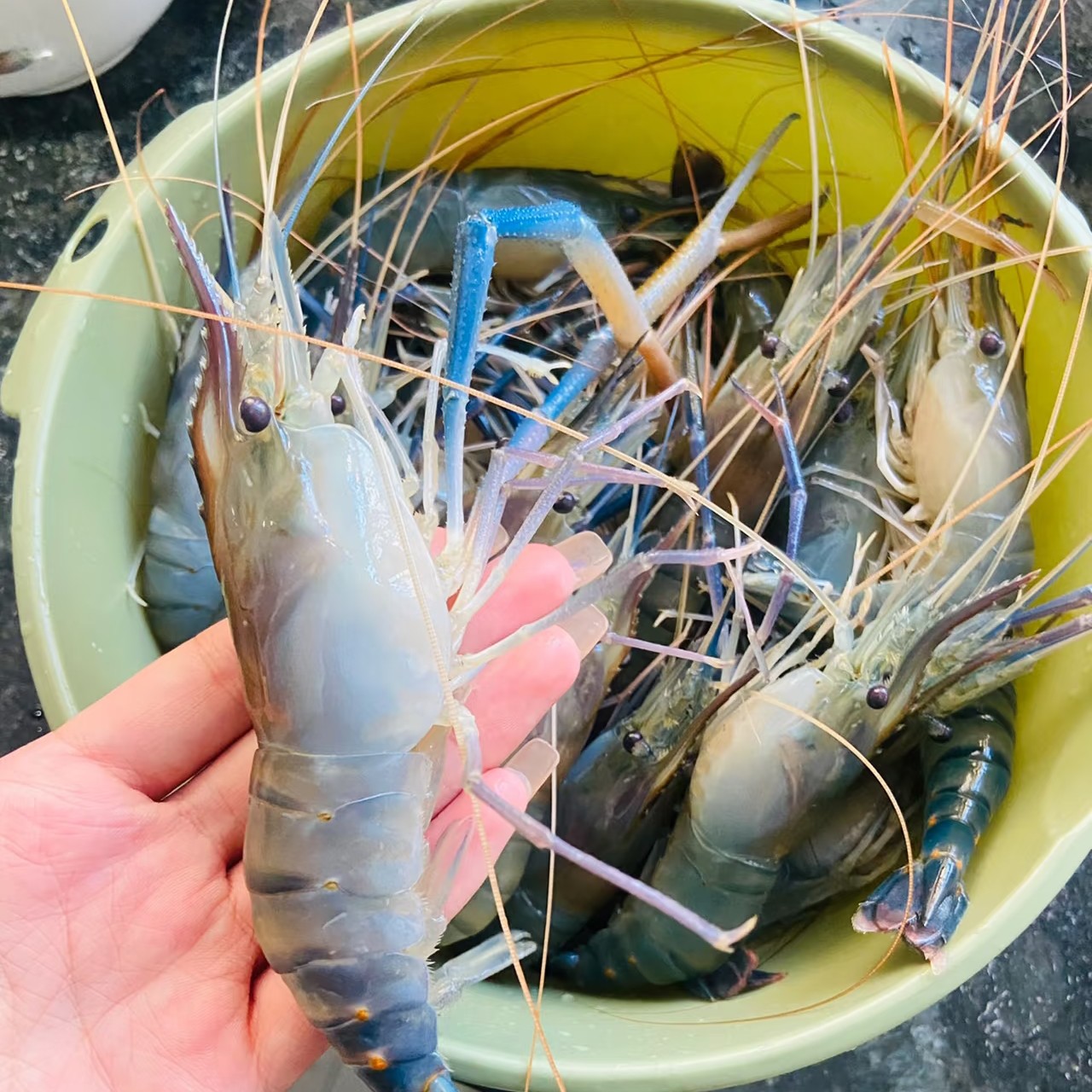 鲜活罗氏虾约1500g保鲜不保活【石家庄同城小时达】