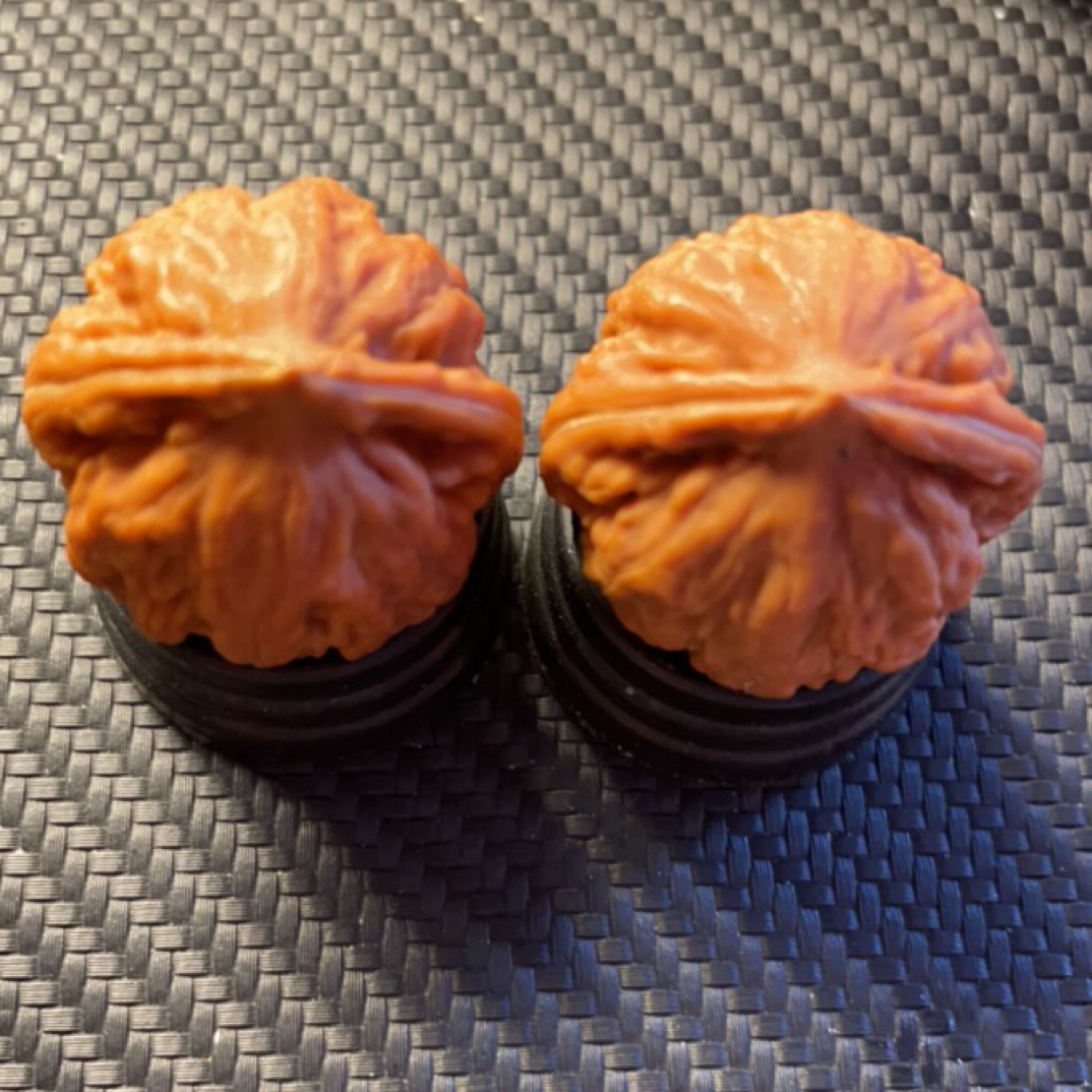 精品野生小楸子霸王龙手捻文玩核桃