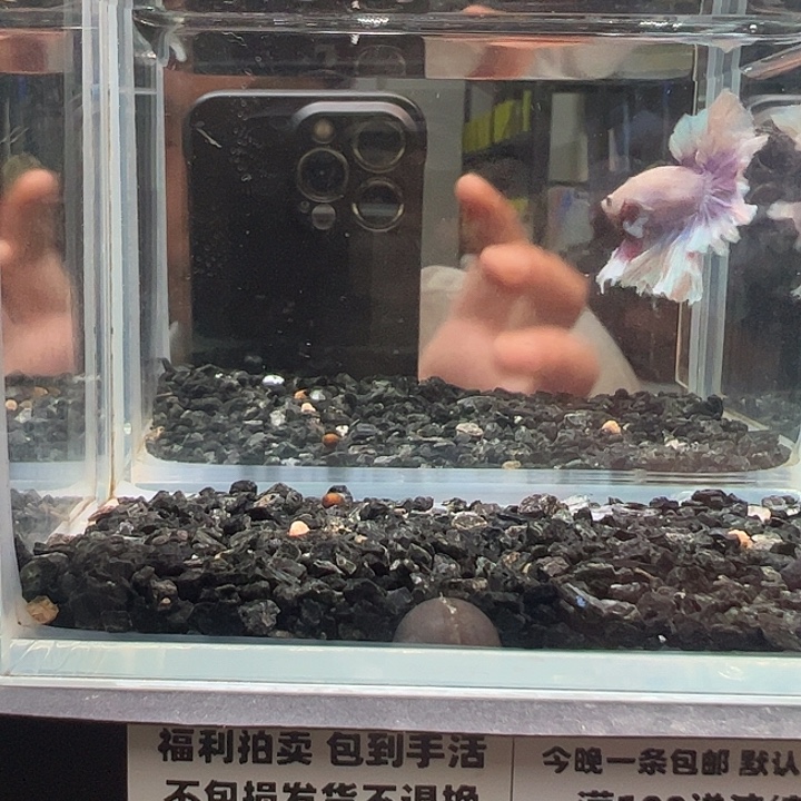斗鱼跑单拉黑7日83