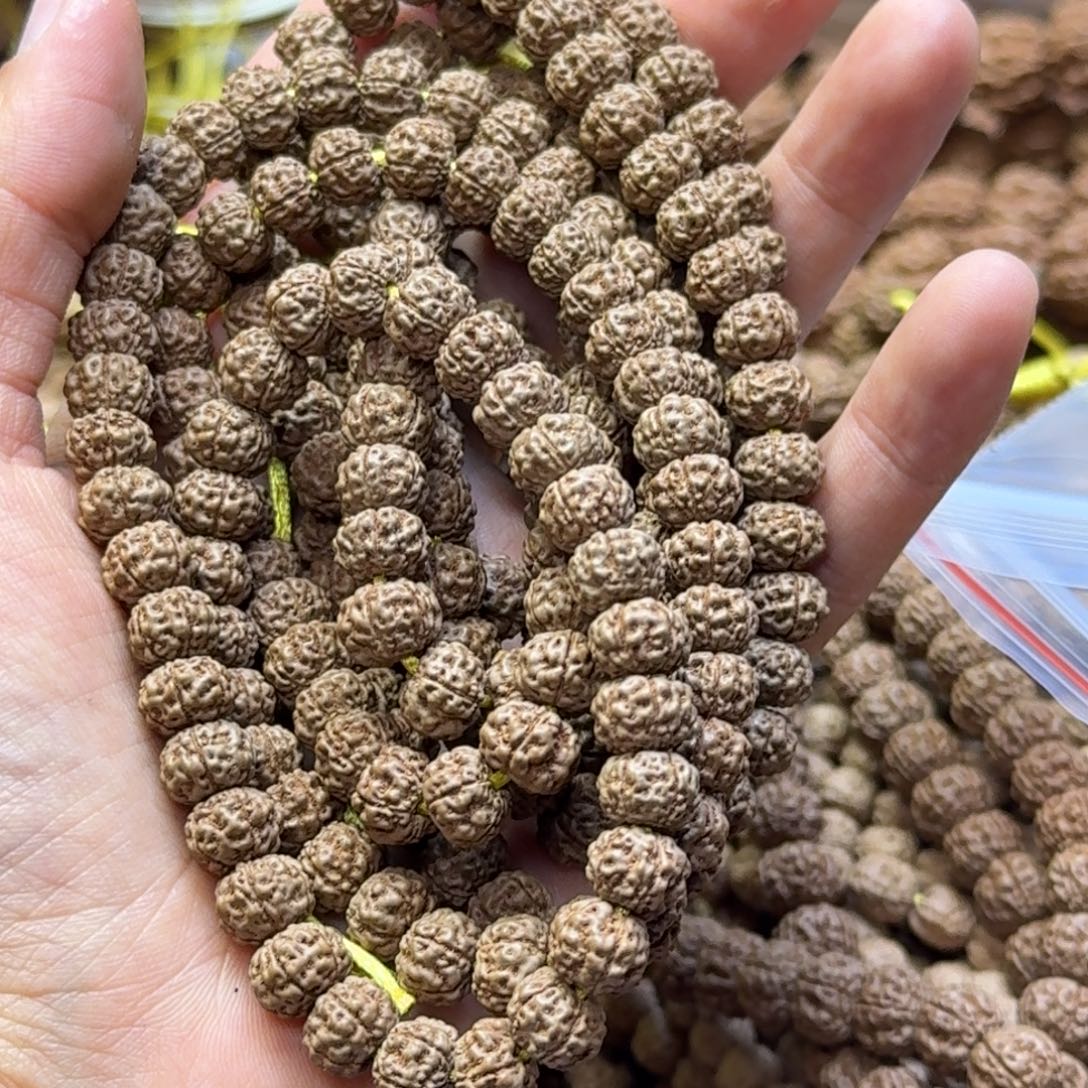 听***n金刚菩提吊坠战神第二条福利