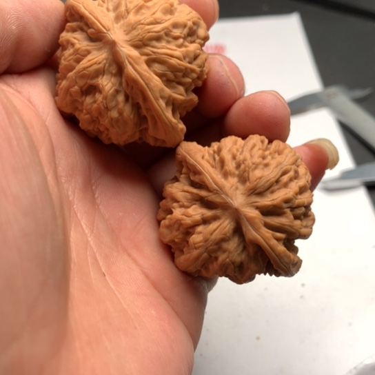 锦*杰我的心好痛啊我的