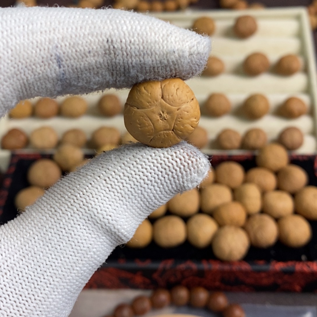 戴***晋吊坠凤眼菩提18五星单颗