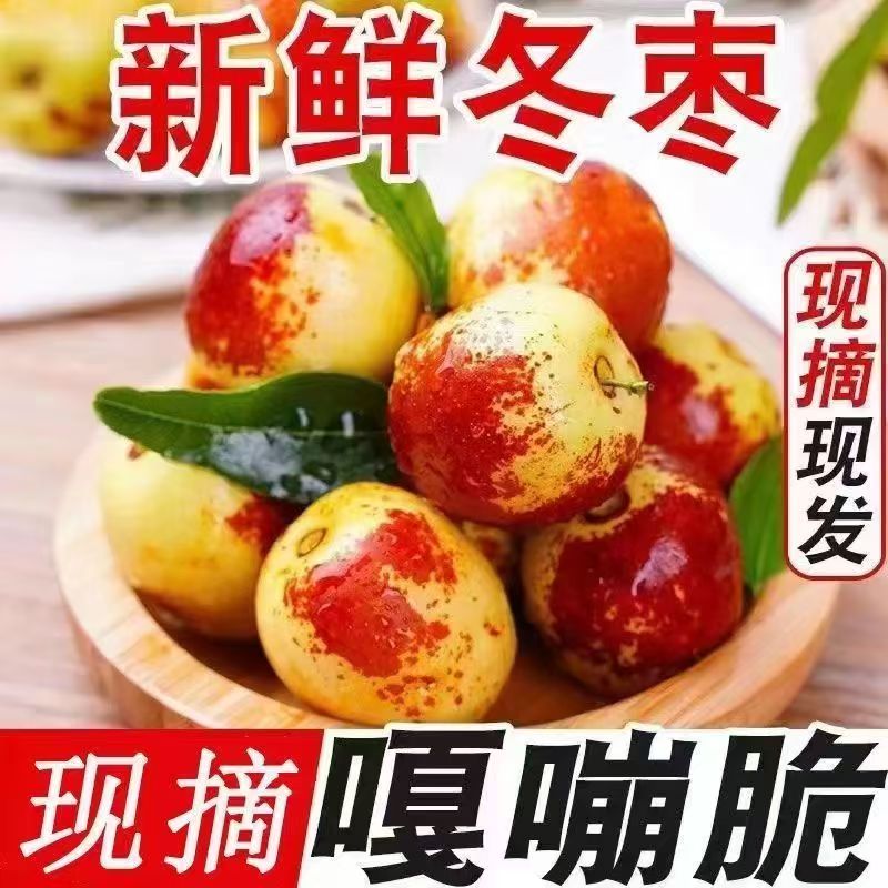 山东沾化现摘冰糖冬枣脆甜多汁新鲜应季水果