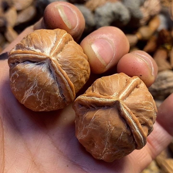 桃核吊坠东北特产5