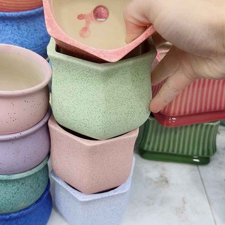 多肉植物陶瓷花盆