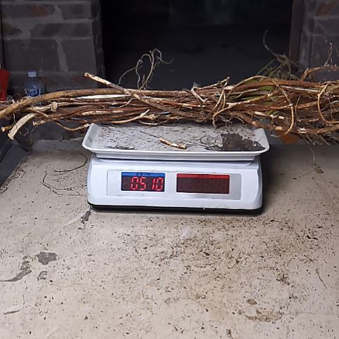 敏***敏中国大陆五指毛桃干货野生山货切段发