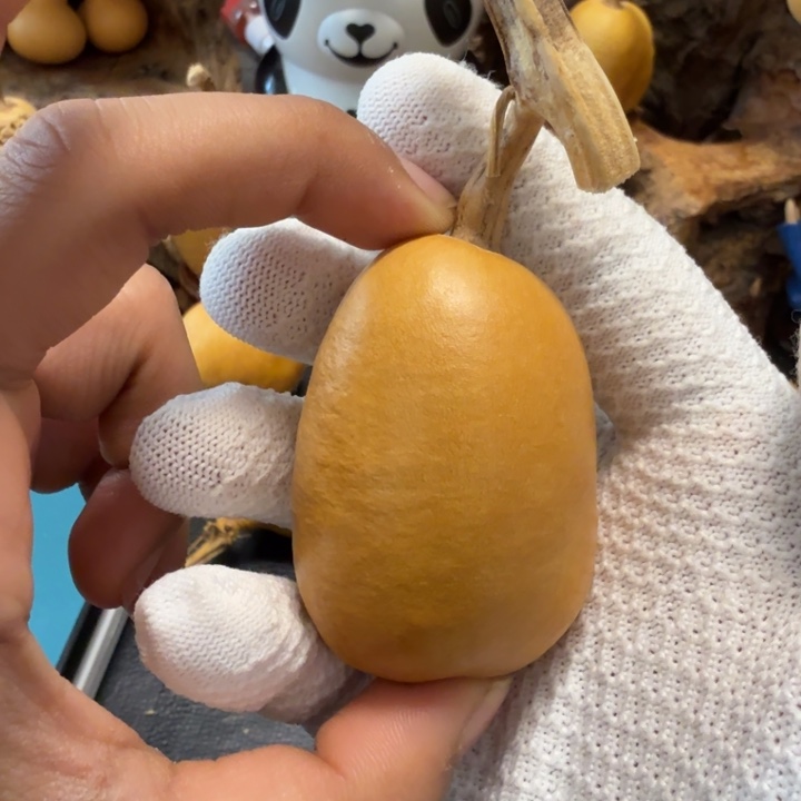 尚***猫66……………………………………