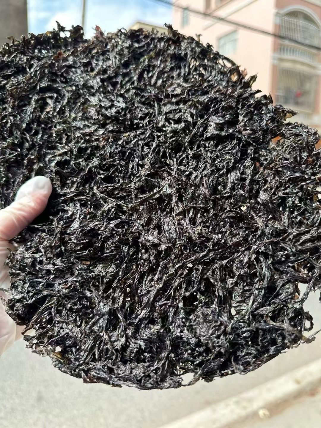 纯紫菜干货头水紫菜无沙免洗紫菜虾皮蛋花汤