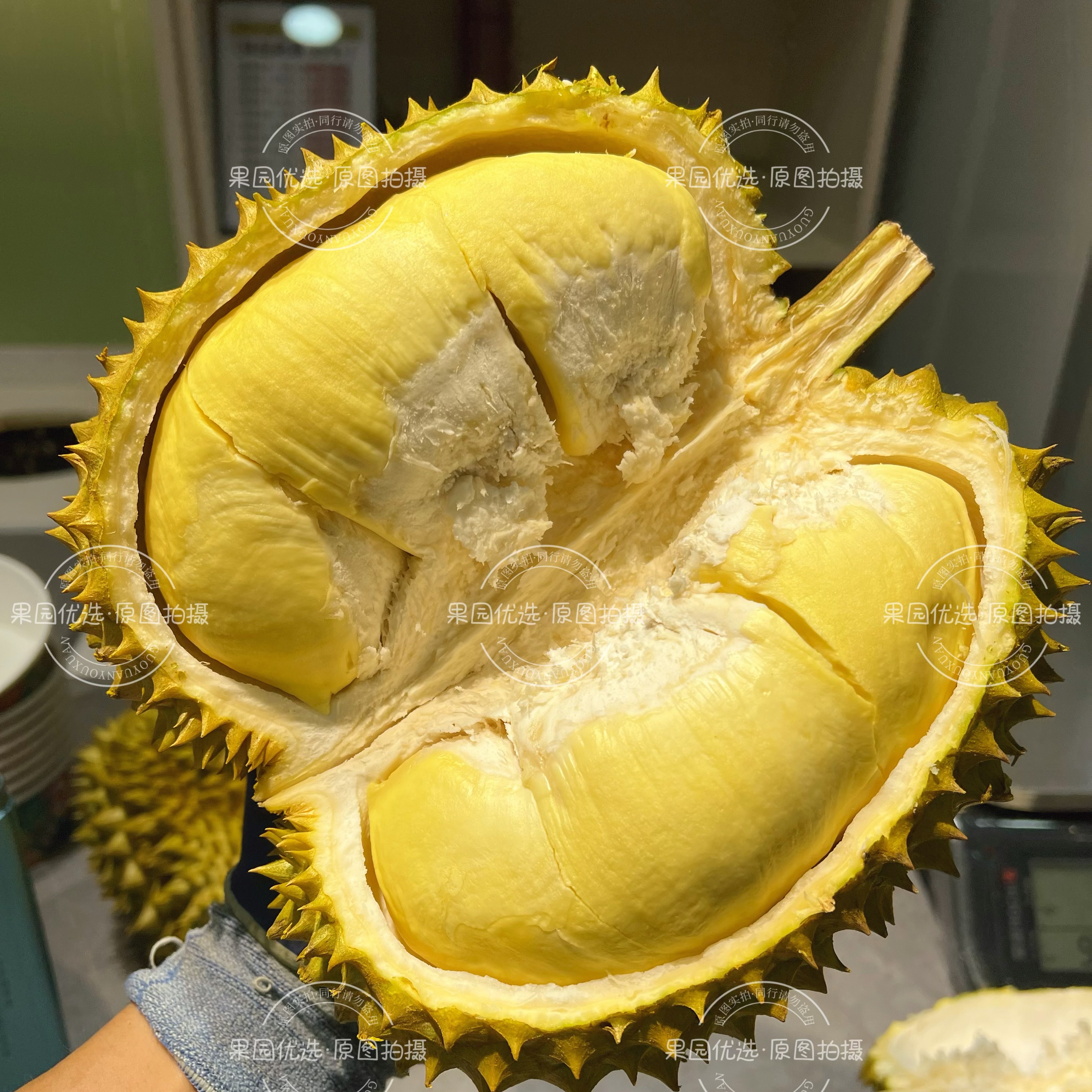 泰国树熟金枕鲜榴莲1斤-3斤果肉核小现开果肉1房-4房榴莲同城送榴莲同城送榴莲同城配金枕泰国