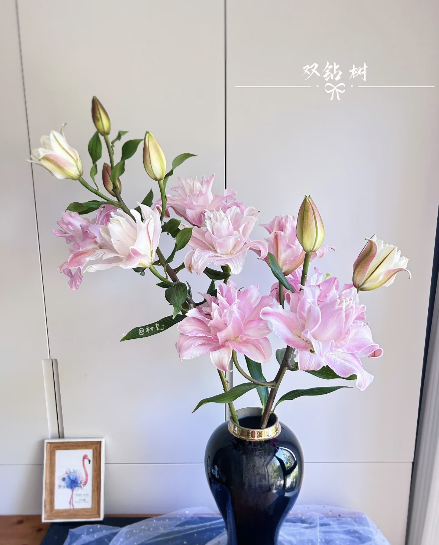 AA级重瓣双钻香水百合花花