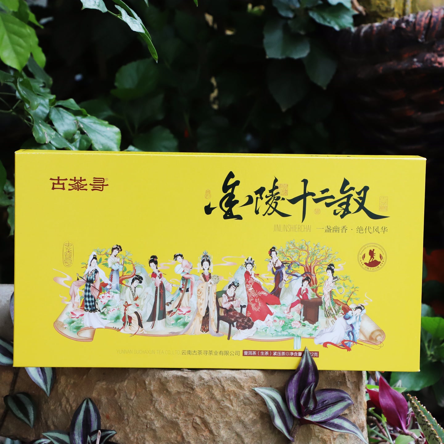 金陵十二钗 432克 生茶