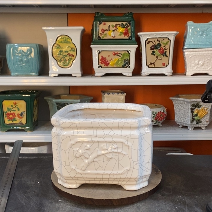 红陶一****修花盆里的小猫咪