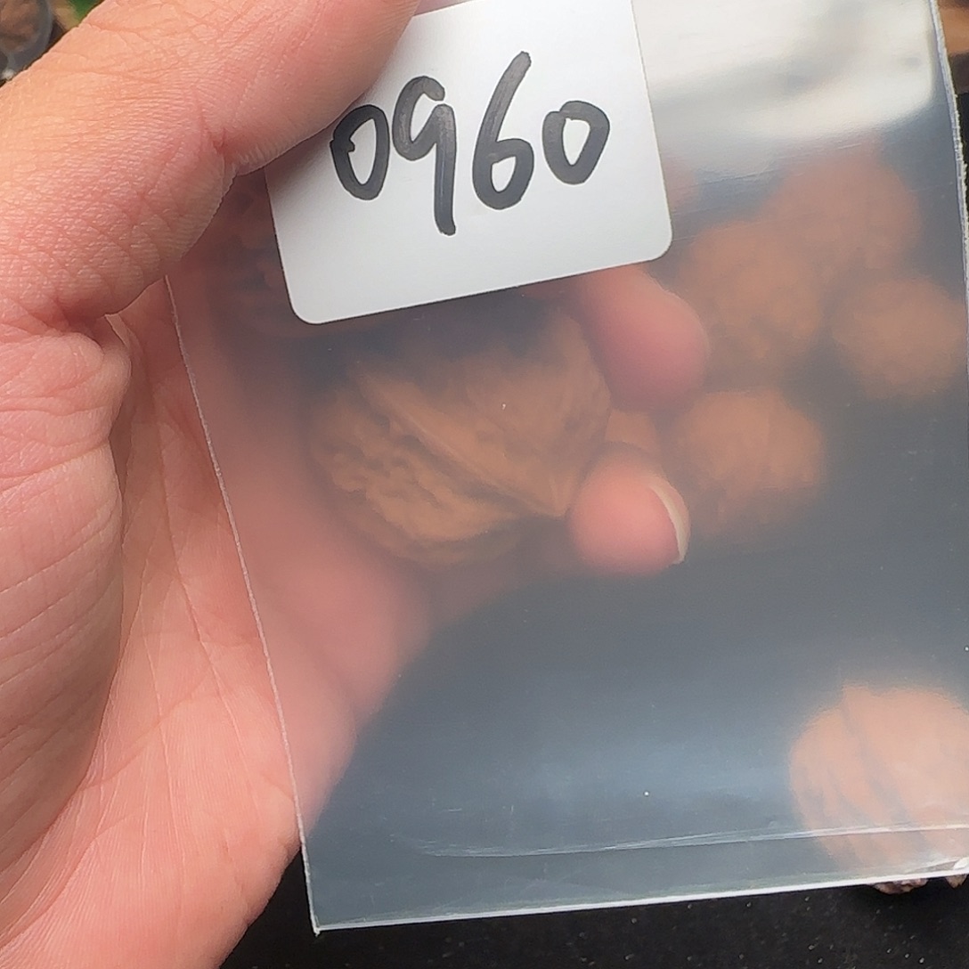 无***&文玩核桃把件0960全品37凹底