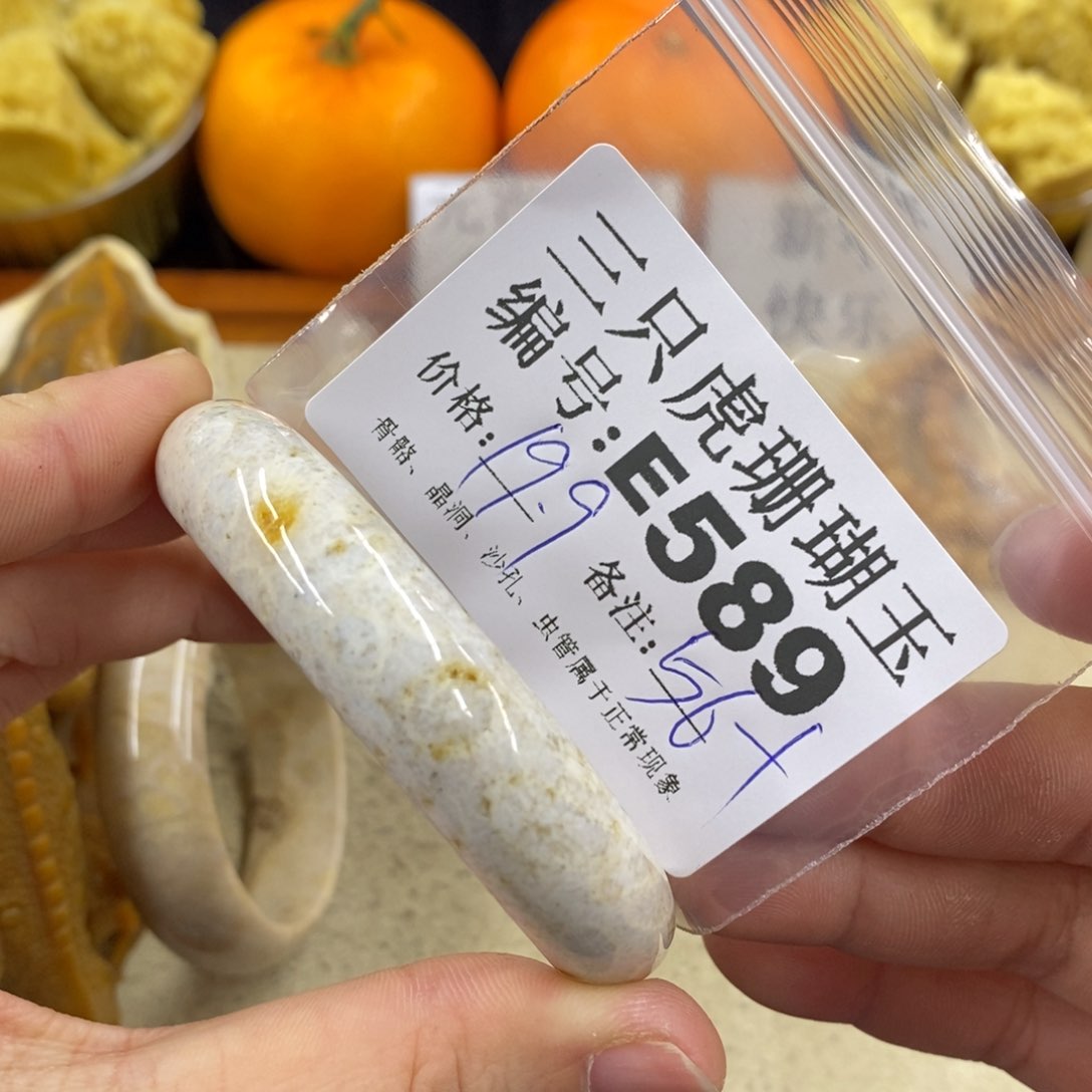 硅化珊瑚（珊瑚玉）1未镶嵌燕*