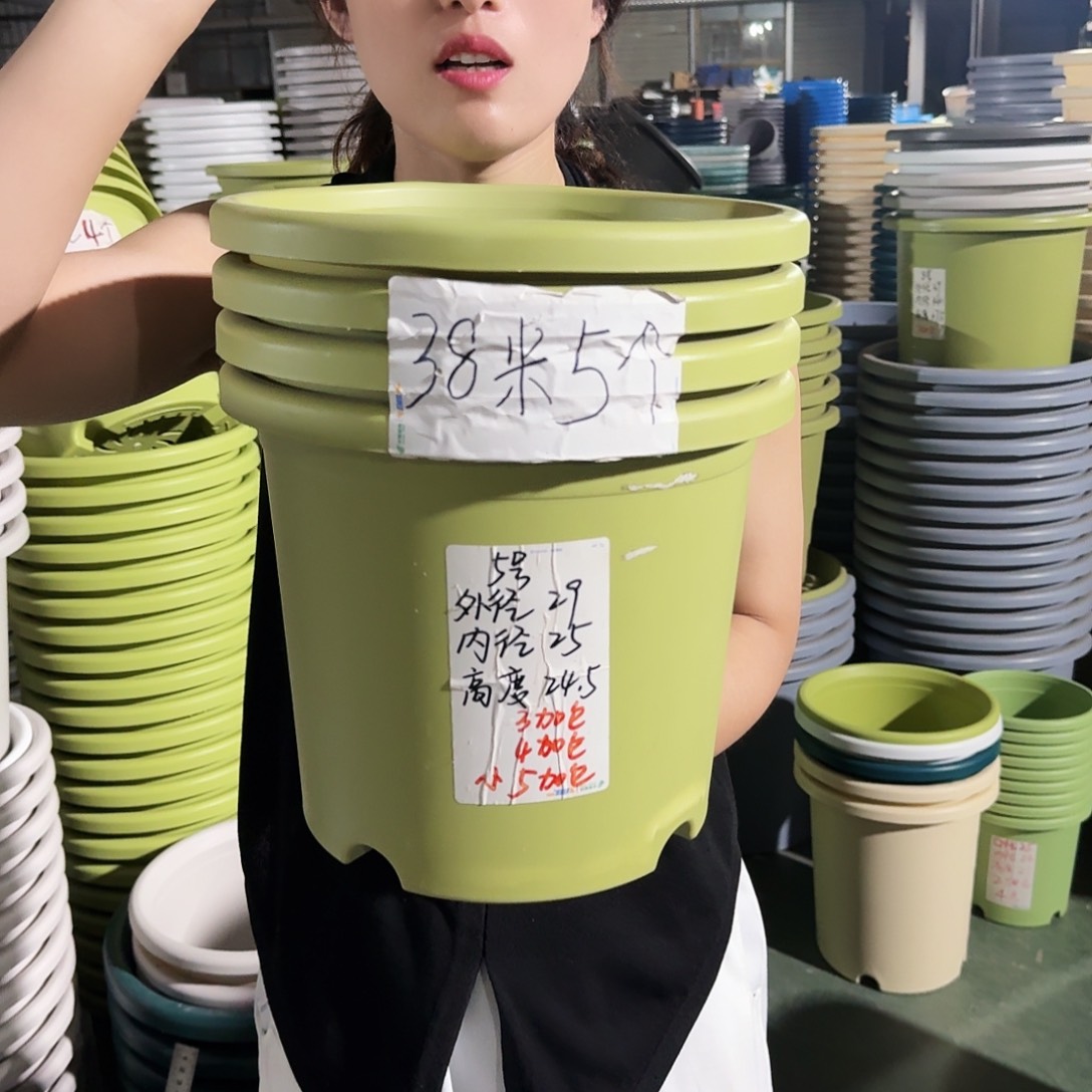 微瑕5#无拖果绿6个