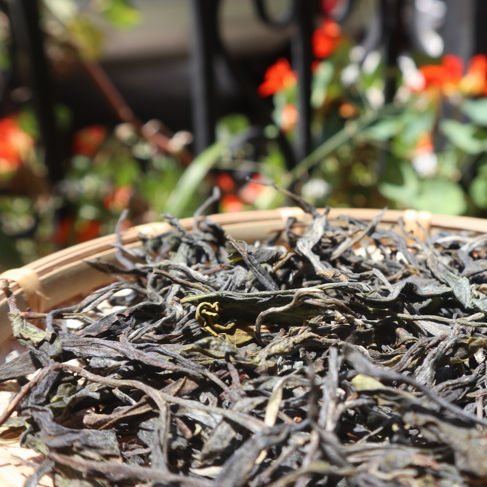 冰岛 普洱生茶1包