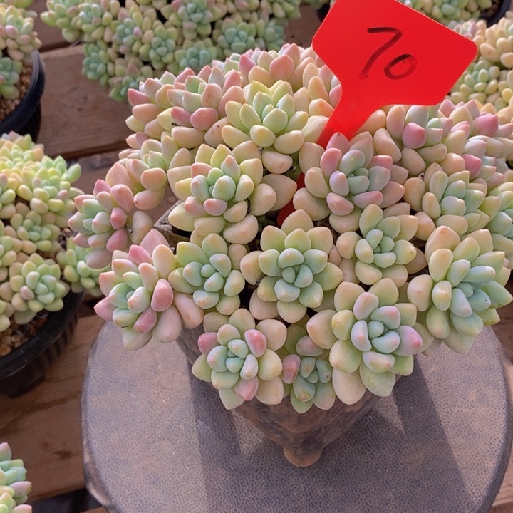 美****在家干吗你现在到