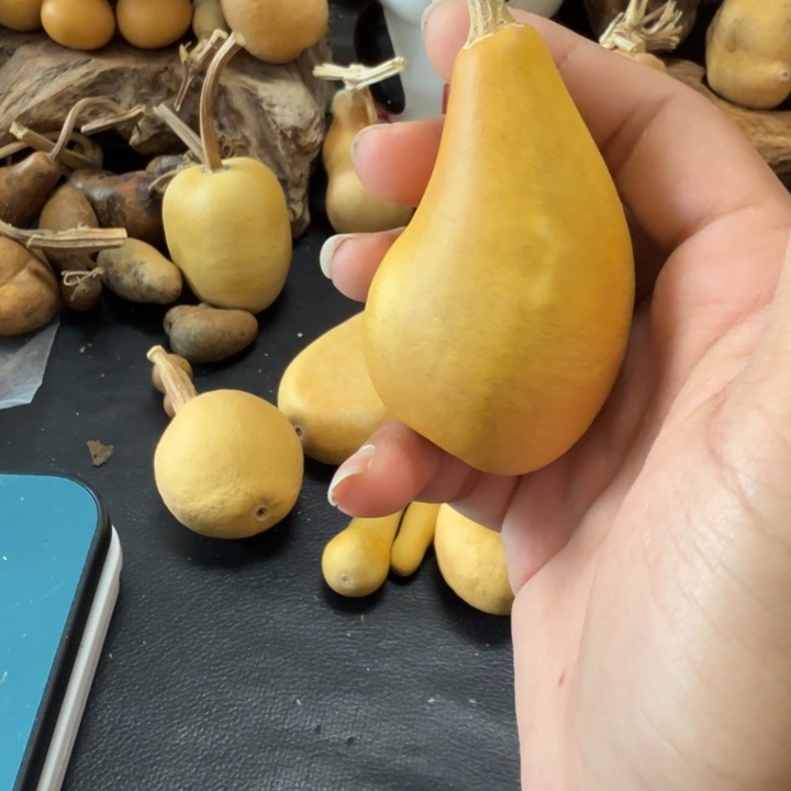 一***情6…………………………………………