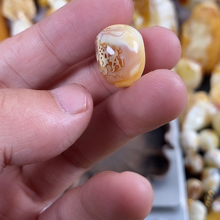 ****解琥珀未镶嵌裸石我