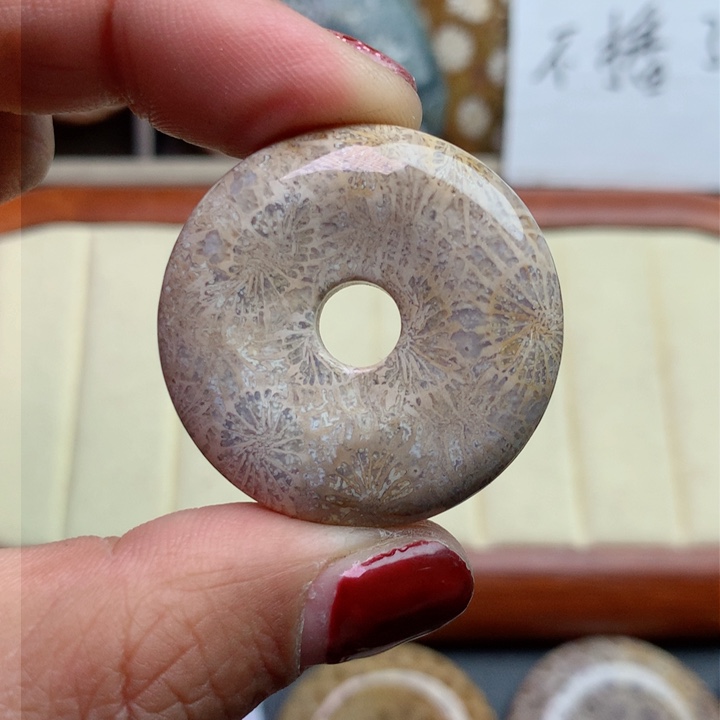 硅化珊瑚（珊瑚玉）颈饰未镶嵌