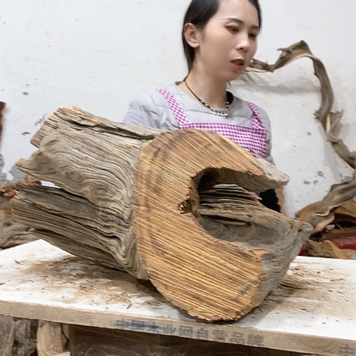 【闪购商品】柏木车****品我们都是好孩子