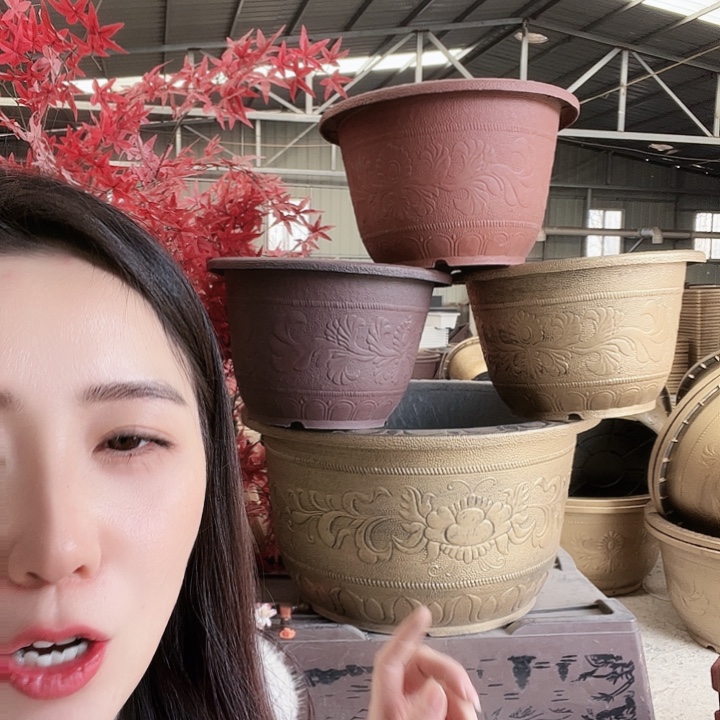 圆50口径花盆十个