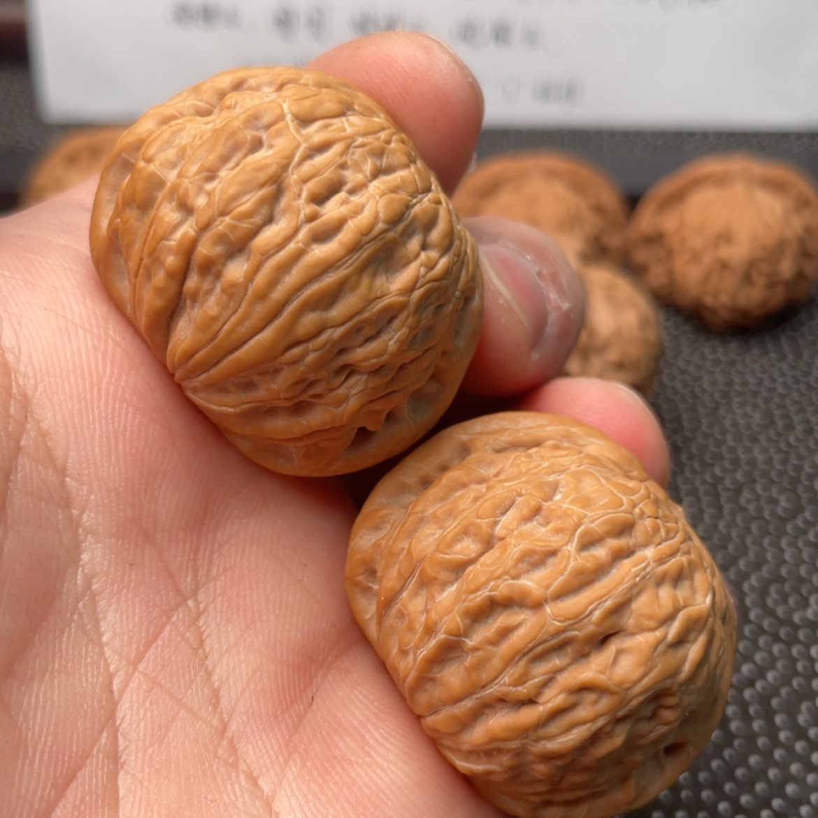 【闪购商品】核桃其他P***s铁锤39尺寸760