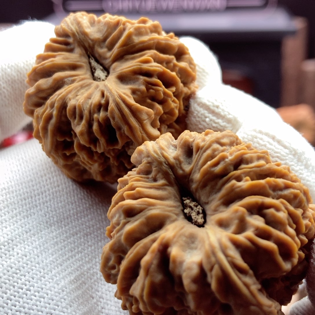 文玩核桃把件三角拉丝高炮大凹38.5.39克单克不差