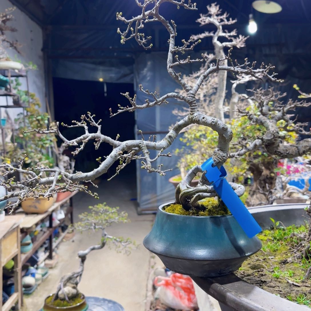 11111111111爱****哥