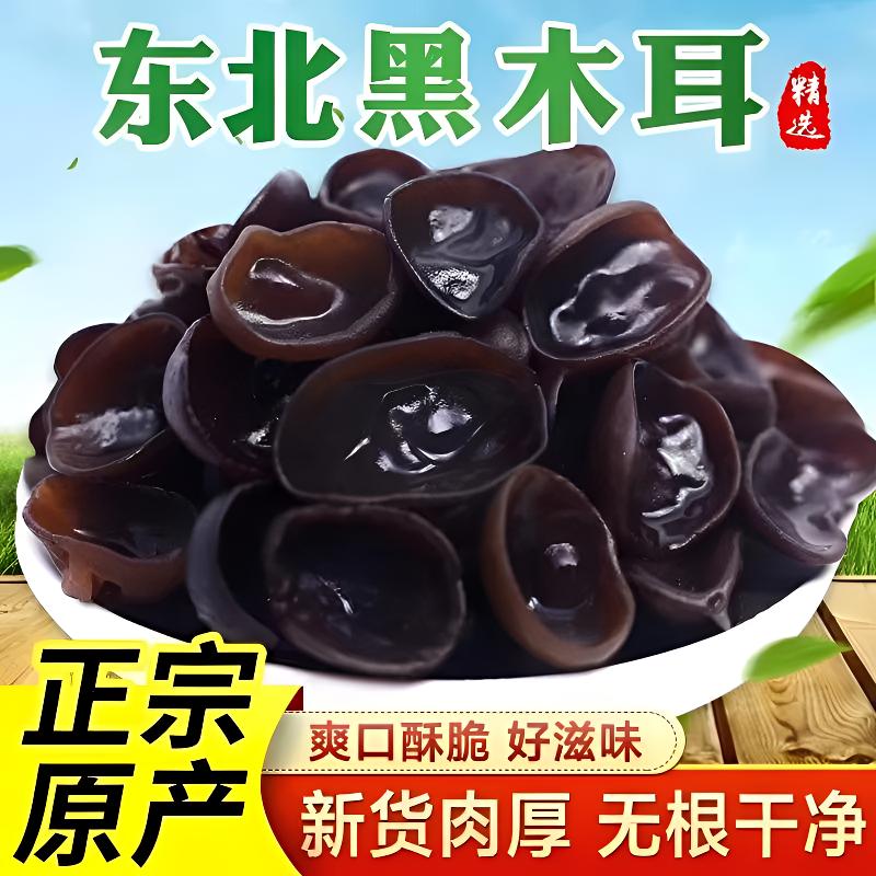 东北营养秋木耳可泡发后炒菜凉拌食用头茬肉厚500g