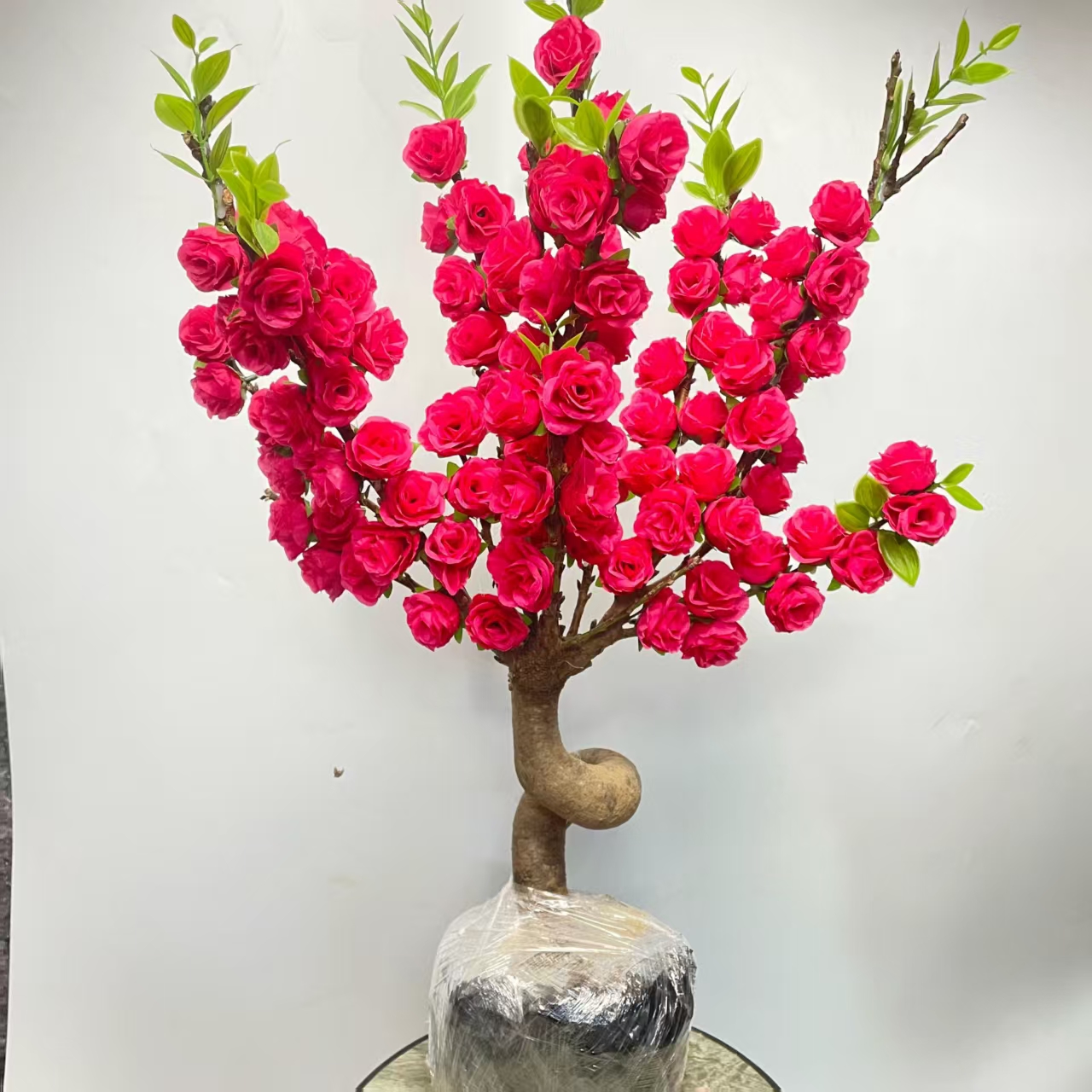 十年老桩盆景造型桃树寿星桃带花苞室内外南北方种植耐寒（可结果）