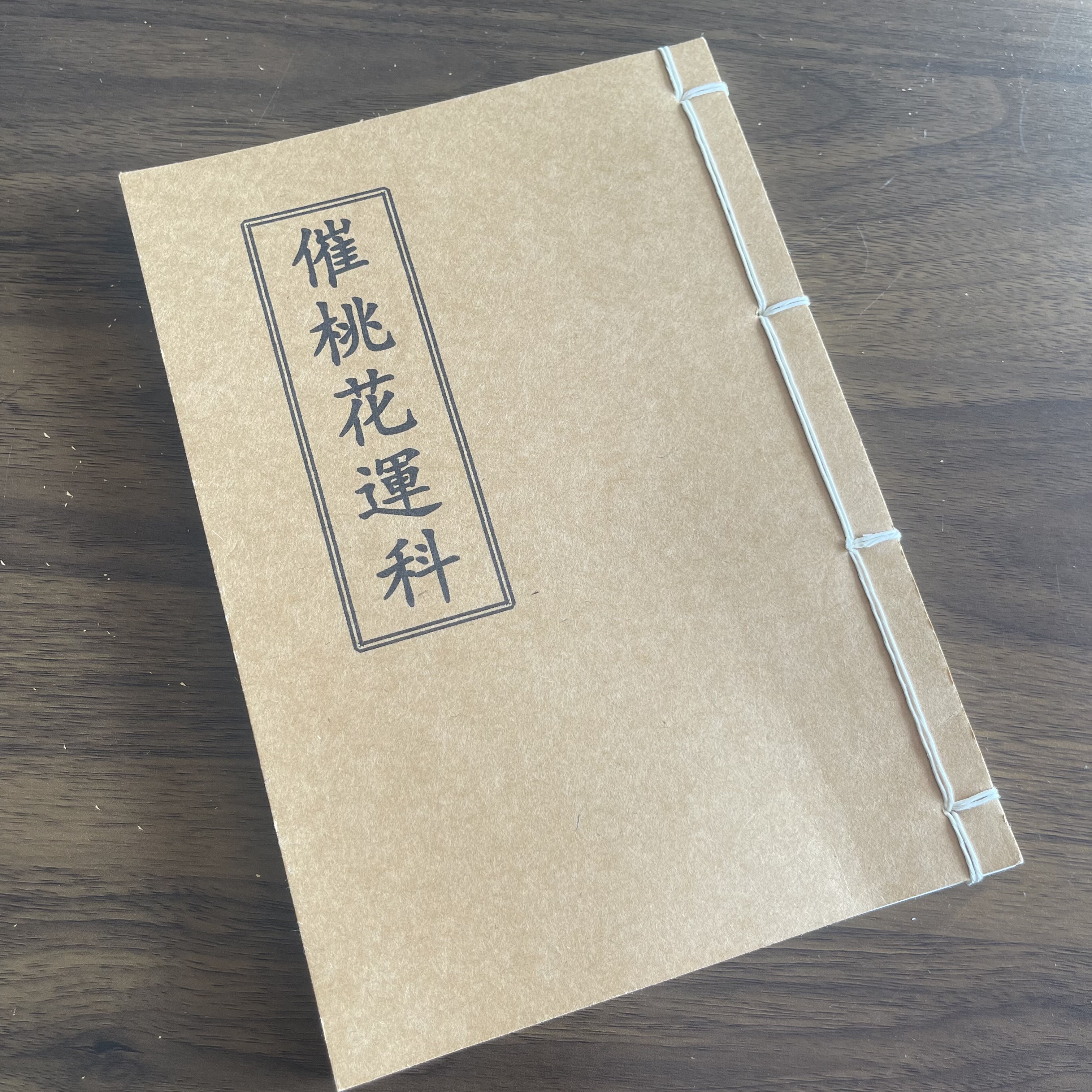 催桃花 手工线装 29筒子58页 国学古籍32开