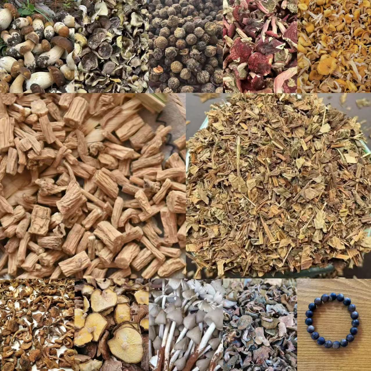 ASP291土特产菌/多样性发货