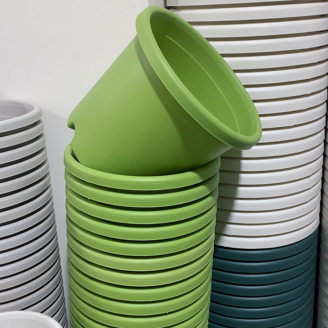 树脂四季口17果绿10个无托